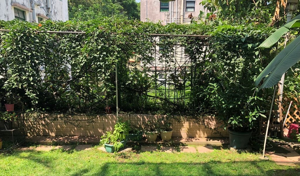 Room for rent in Shek Mun Kap Rd, Shek Mun Kap - Village living - rooms available - Image 3