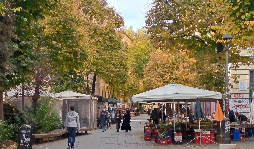 Stanze e Posti Letto in Affitto - Via del Pigneto, Roma - la stanza per te | Roomgo - Image 2
