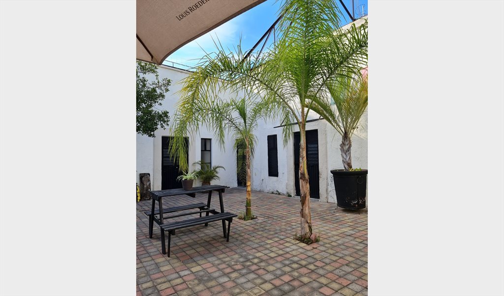 HABITACIONES DISPONIBLES ---Casa Prisciliano Sanchez - Calle Prisciliano Sánchez, Americana | Roomgo - Image 6