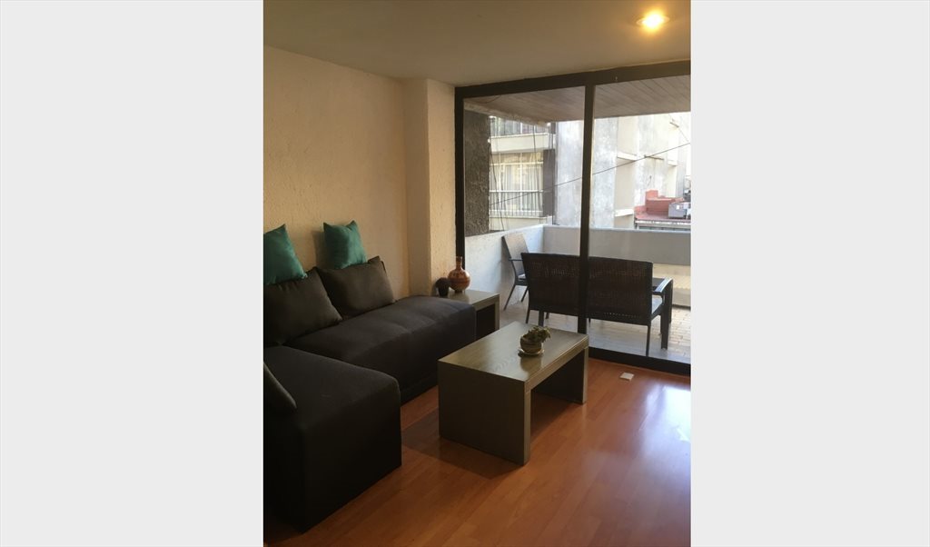 Departamento recién remodelado en una de las zonas más céntricas de la ciudad. - Calle Río Ebro, Cuauhtemoc | Roomgo - Image 7