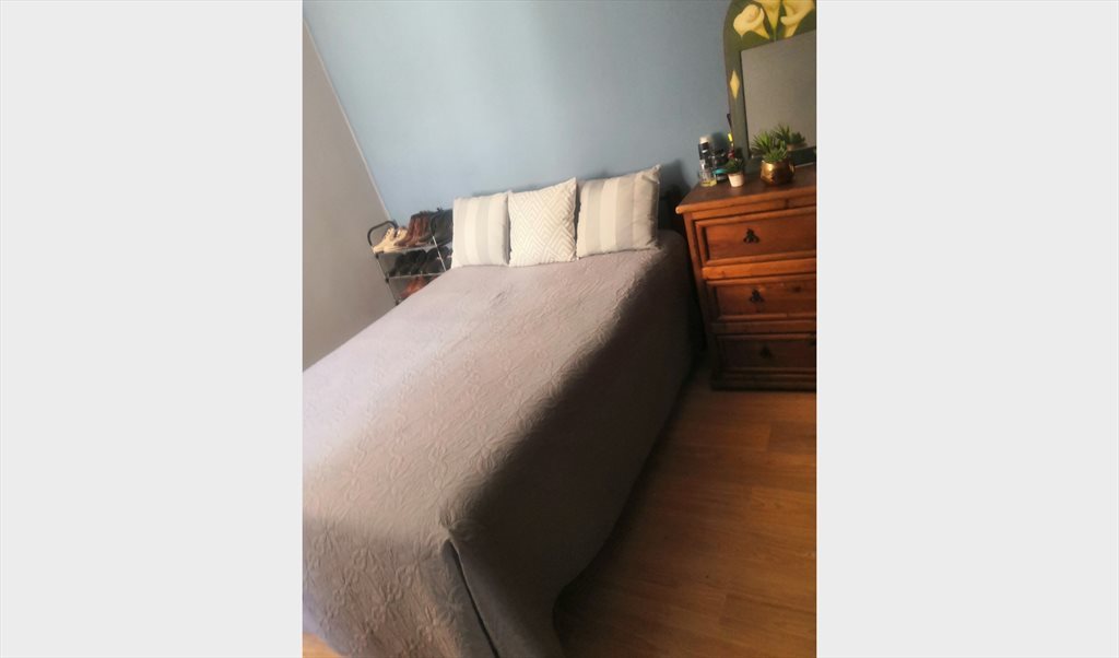 Se Renta 2 habitaciones - Avenida 15 Oriente, San Angel | Roomgo - Image 2