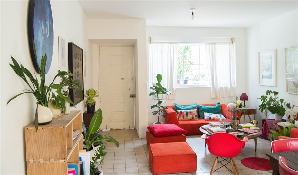 Great deal for foreign students - Joaquín Arrieta, Vallarta | Roomgo - Image 2