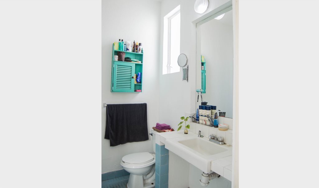 Great deal for foreign students - Joaquín Arrieta, Vallarta | Roomgo - Image 5