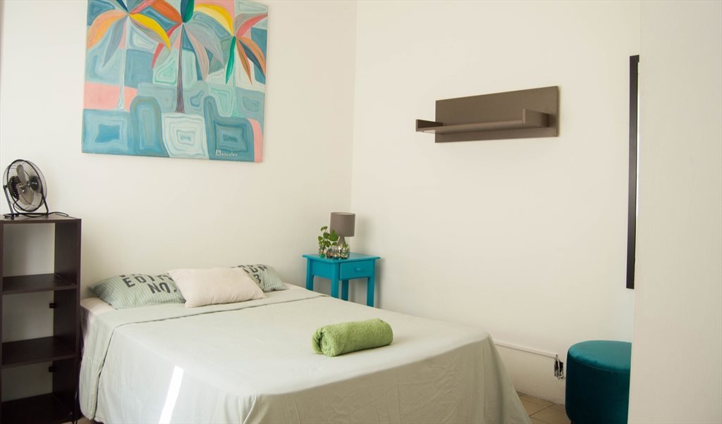 Great deal for foreign students - Joaquín Arrieta, Vallarta | Roomgo - Image 8