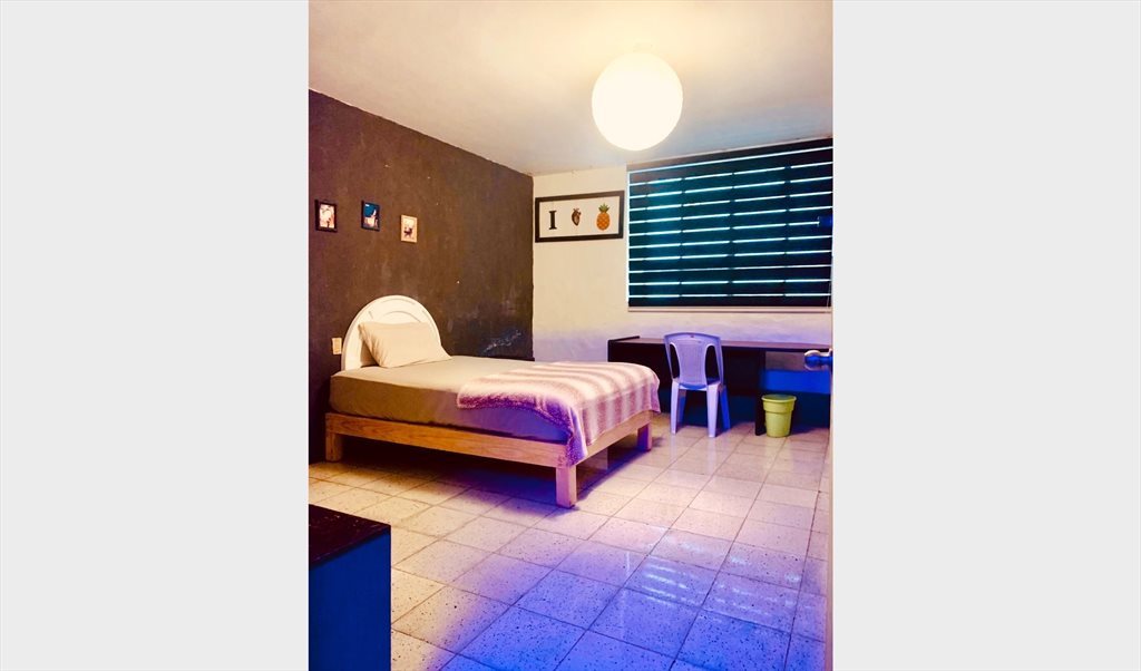 Casa Margarito - Calle Reforma, Zona Centro | Roomgo - Image 2