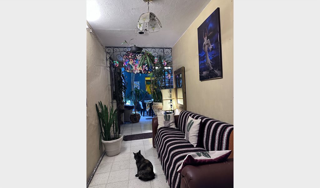 Casa Margarito - Calle Reforma, Zona Centro | Roomgo - Image 3