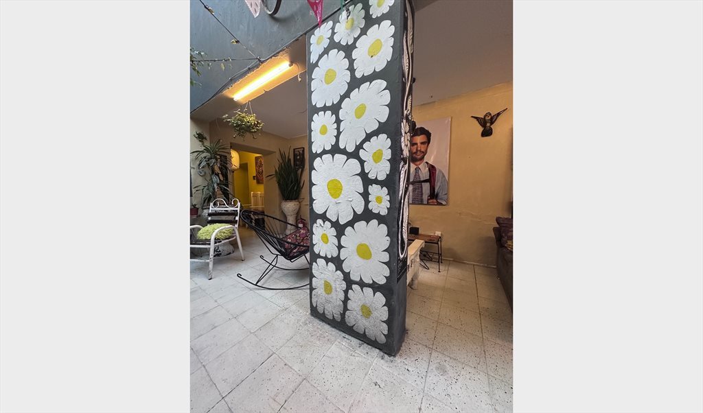 Casa Margarito - Calle Reforma, Zona Centro | Roomgo - Image 5