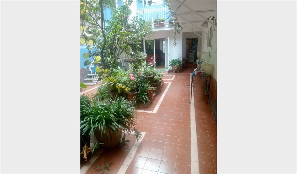 lindo cuarto  en renta - Calle Puebla, Roma Norte | Roomgo - Image 5