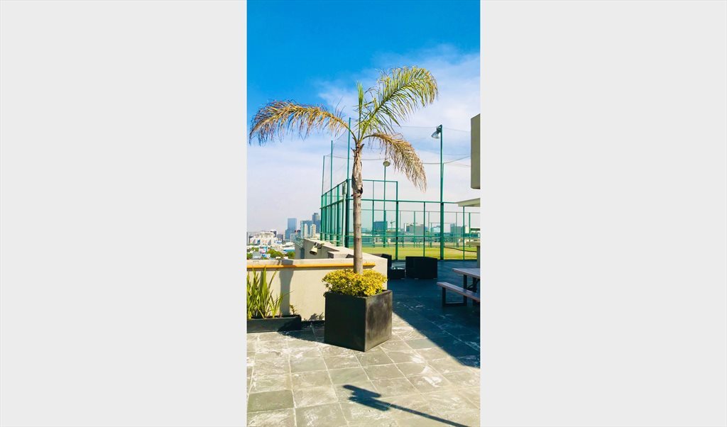 BUSCO ROOMIE p/RENTA de RECÁMARA AMUEBLADA en RESIDENCIAL GRAND TOWER POLANCO - Calle Lago Neuchatel, Granada | Roomgo - Image 4