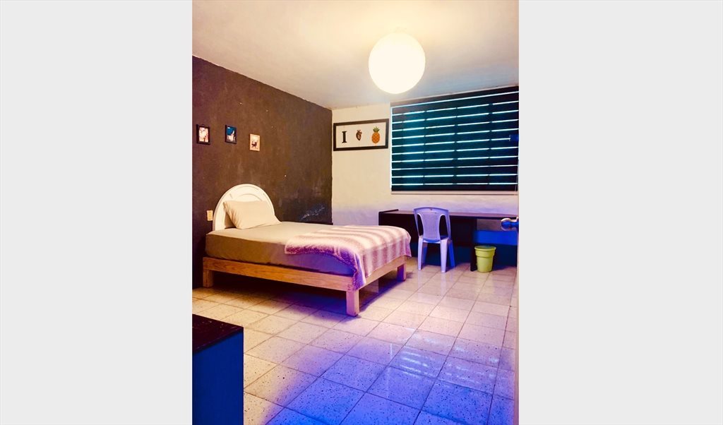 InstagrAM: Casa Margarito - Calle Reforma, Zona Centro | Roomgo - Image 5