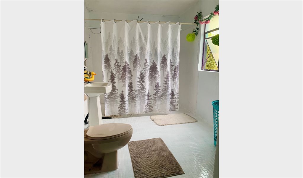 InstagrAM: Casa Margarito - Calle Reforma, Zona Centro | Roomgo - Image 6