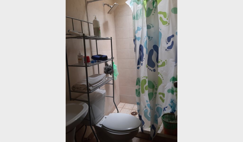 Casa huéspedes Los Tréboles - Calle de la Virtud, Los Treboles | Roomgo - Image 7