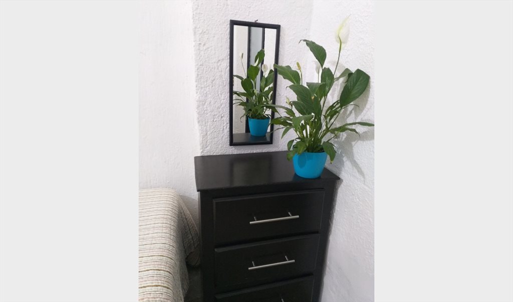 Rento habitacion amueblada - Calle Jesús García, Artesanos | Roomgo - Image 3