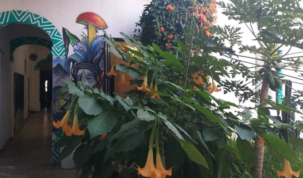 Rento habitacion amueblada - Calle Jesús García, Artesanos | Roomgo - Image 4