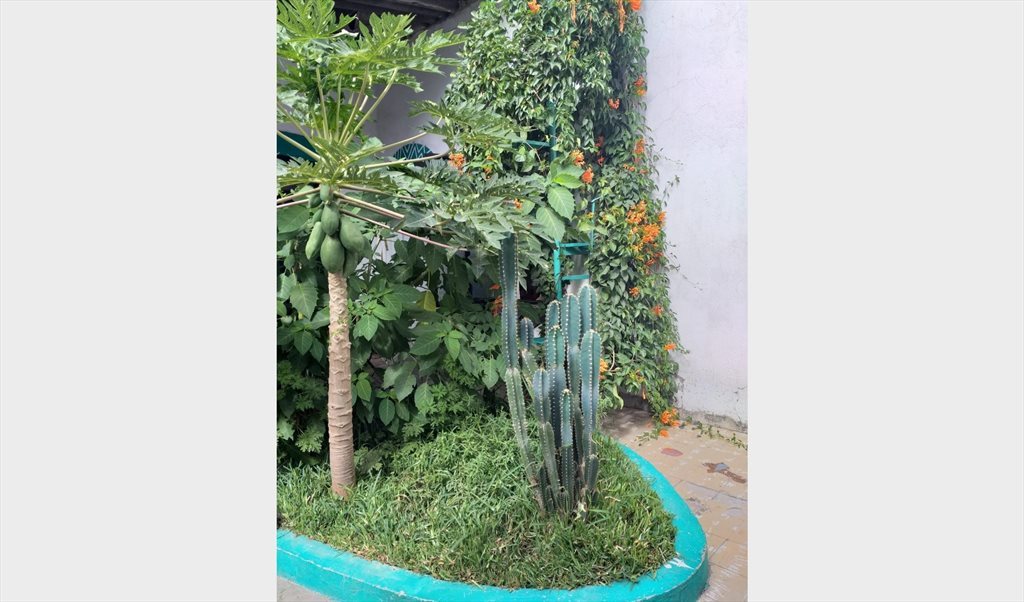 Rento habitacion amueblada - Calle Jesús García, Artesanos | Roomgo - Image 5