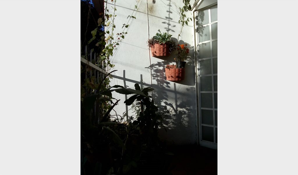 Cuarto Colonia Americana - Calle Escorza, Zona Centro | Roomgo - Image 3