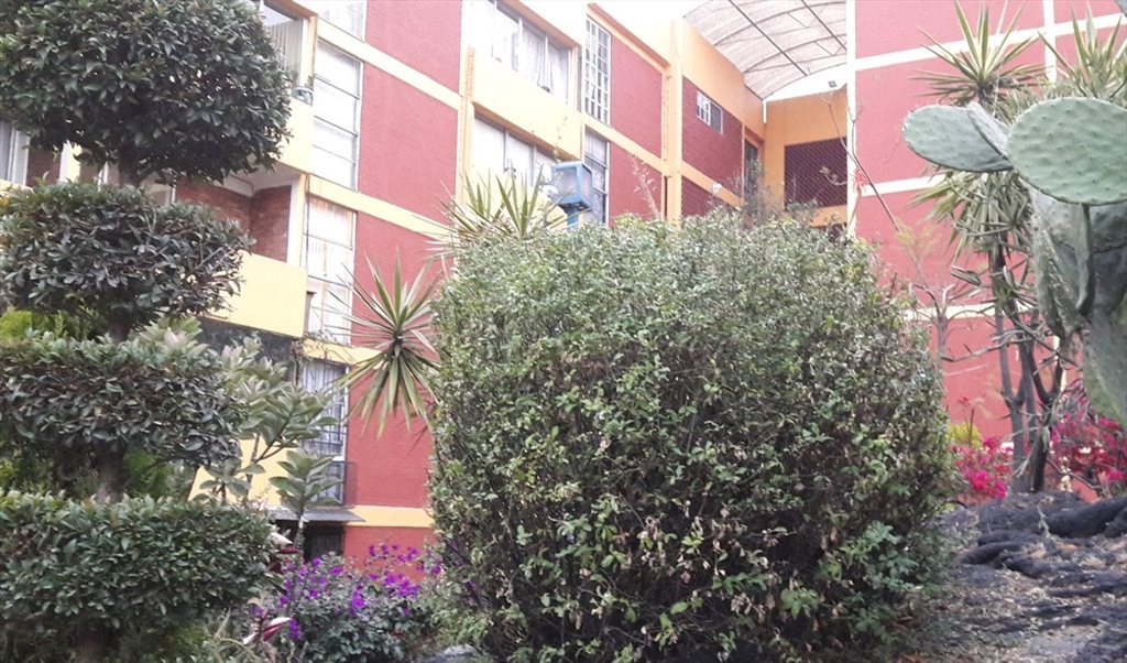 Se renta habitación para estudiante (mujer) muy cerca de Ciudad Universitaria - Andador Rinconada de los Personajes, Villa Panamericana | Roomgo - Image 4