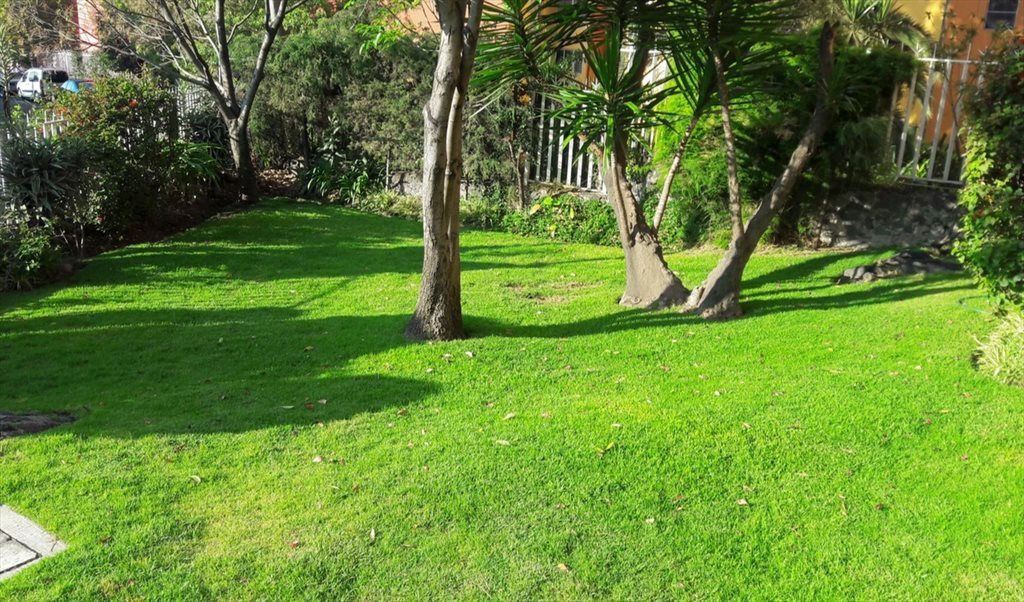 Se renta habitación para estudiante (mujer) muy cerca de Ciudad Universitaria - Andador Rinconada de los Personajes, Villa Panamericana | Roomgo - Image 5