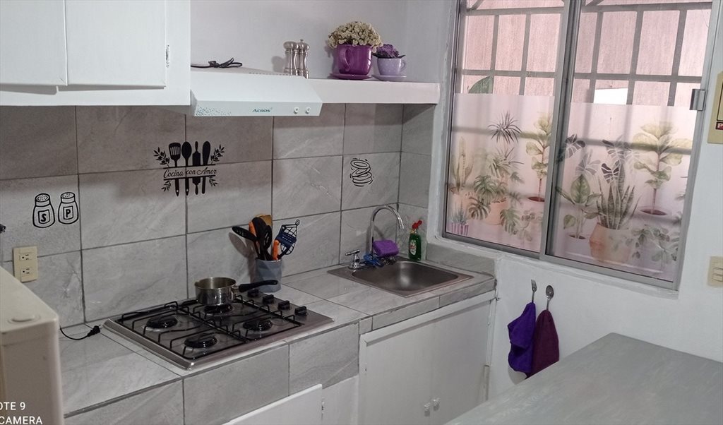 Renta de habitaciones individuales - Calle José Rosas Moreno, Los Arrayanes | Roomgo - Image 2