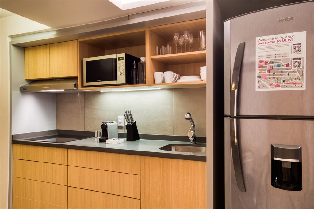 Ibsen - 2BR Interior - Calle Enrique Ibsen, Polanco | Roomgo - Image 2