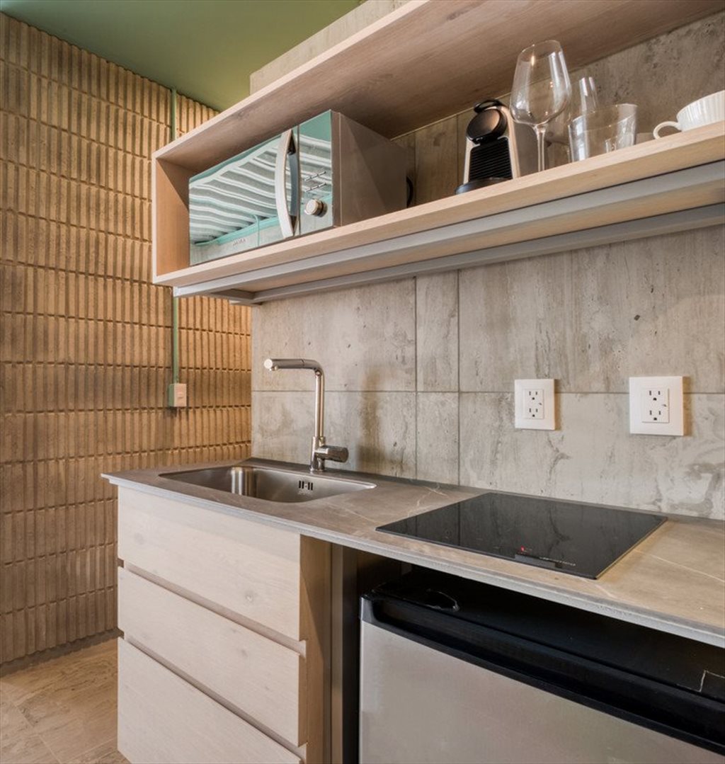 Mariano Escobedo - Sencilla - Calzada General Mariano Escobedo, Anzures | Roomgo - Image 5