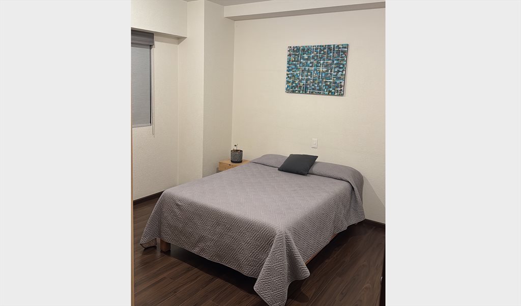 Renta de habitación en Cuajimalpa de Morelos,CDMX - Avenida México, Adolfo López Mateos | Roomgo - Image 7