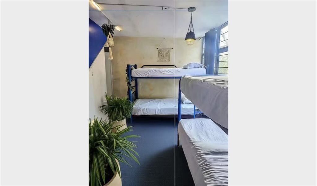 Nomad Friendly Mix Dorm en Col. Americana : Wifi, Patio & Cowork - Calle Alfredo R Plascencia, Ladron de Guevara | Roomgo - Image 2