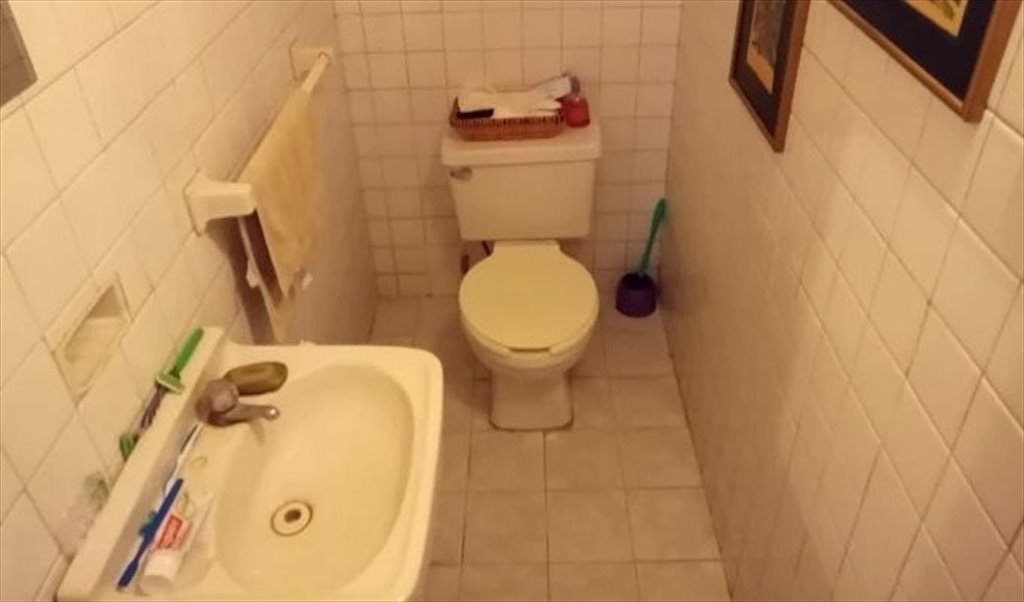 Habitación en Renta Zona Minerva Guadalajara - Calle Benjamín Romero, Vallarta | Roomgo - Image 3