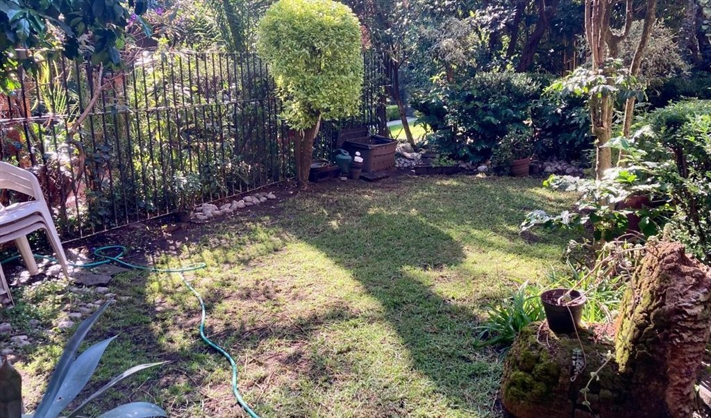 Rento habitación amplia y luminosa, muy cerca del centro de Coyoacán - Calle Manuel Fernández Leal, La Concepción | Roomgo - Image 3