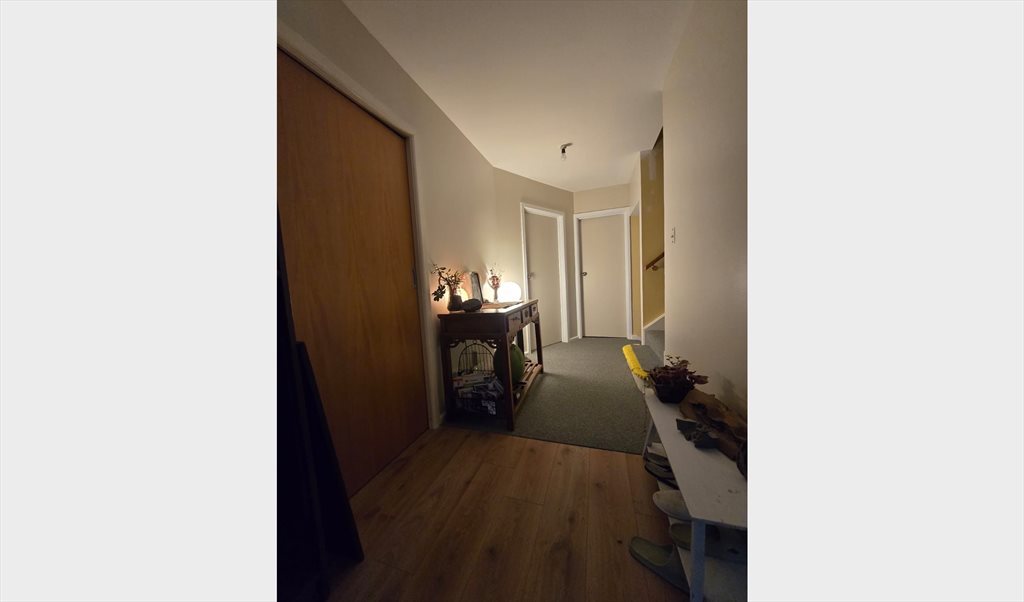 Room to rent in Parkstone Ave, Ilam - Your home away from home - Image 5