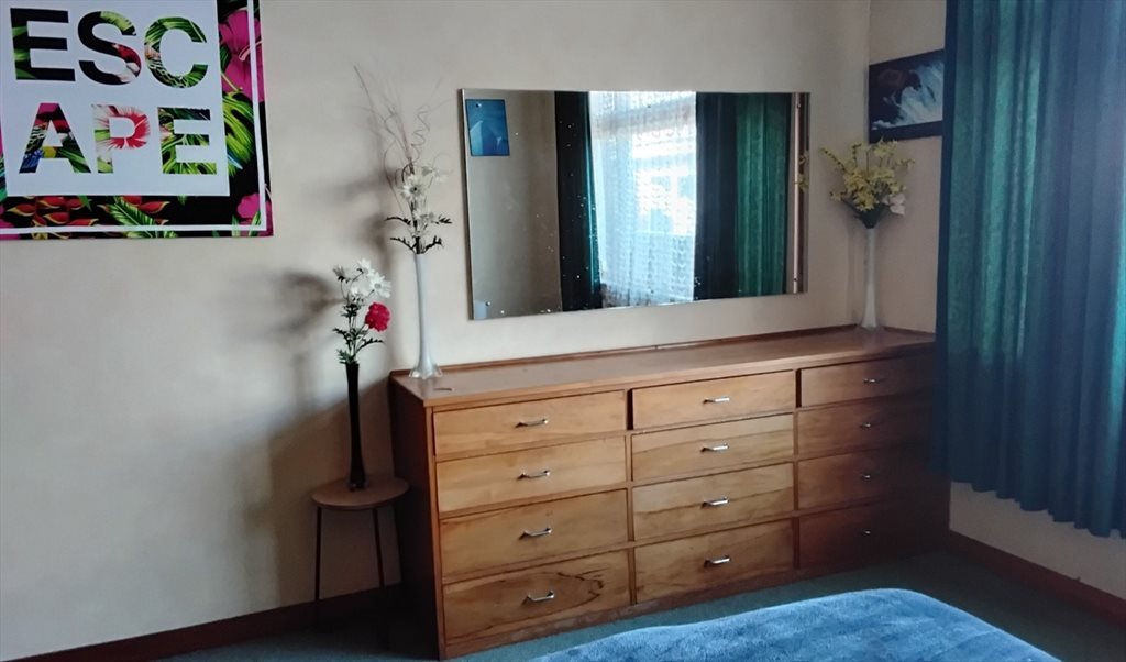 Room to rent in Melville St, Dunedin Central - Room to rent - Image 2