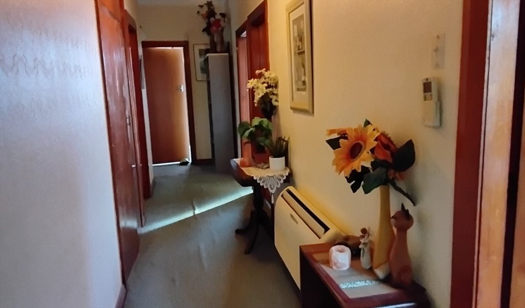 Room to rent in Melville St, Dunedin Central - Room to rent - Image 6