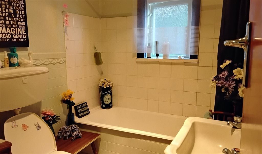 Room to rent in Melville St, Dunedin Central - Room to rent - Image 7