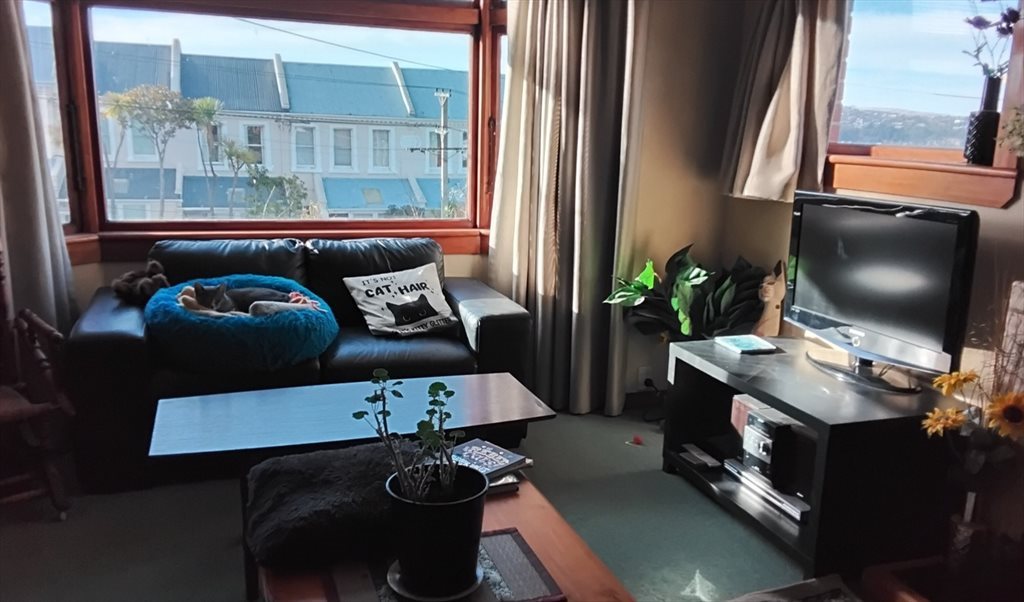 Room to rent in Melville St, Dunedin Central - Room to rent - Image 8