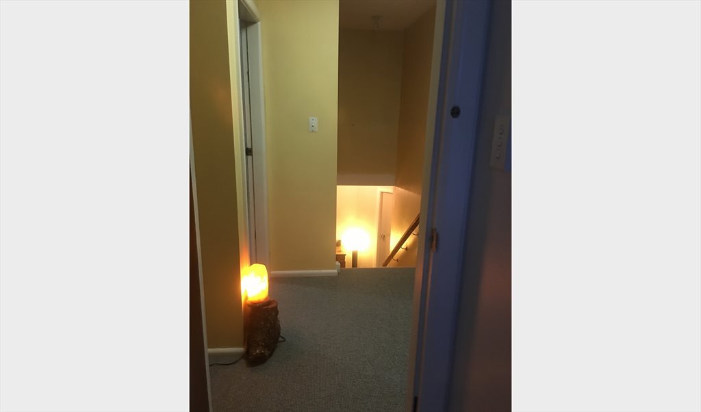 Room to rent in Parkstone Ave, Ilam - Large sunny furnished room - Image 6
