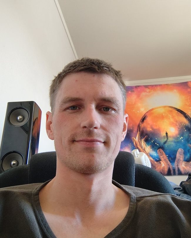 Rhys - Professional - Male - Tauranga - Image 1