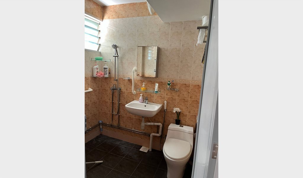 Room for rent in Lorong 8 Toa Payoh, Toa Payoh - Lorong 8 Toa Payoh, common room, for rent - Image 6