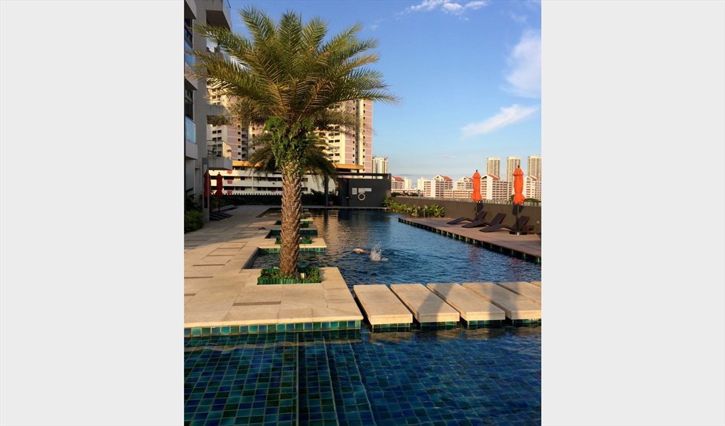 Room for rent in Balestier Rd, Novena - nice condo master room - Image 3