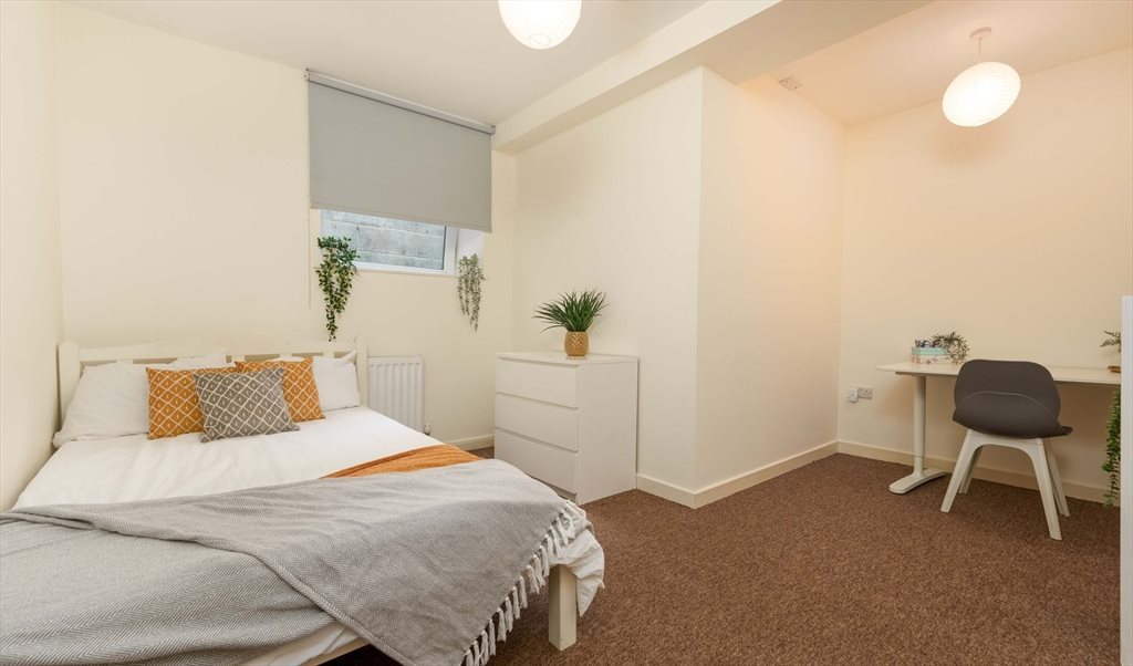 Room to rent in Trafalgar Street, Devonshire Quarter - Rooms in city centre flat share (1TC) - Image 4