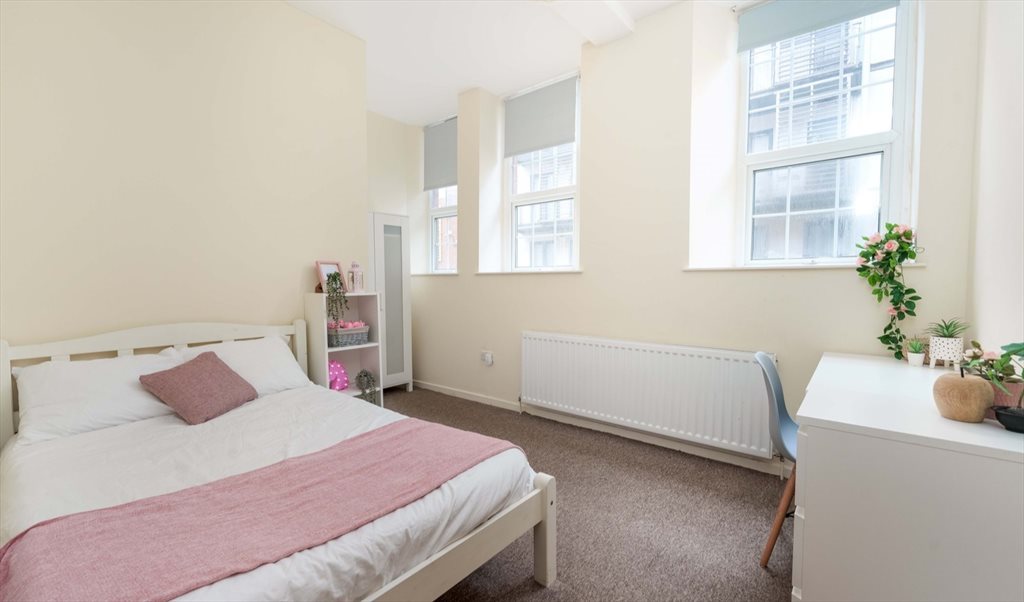 Room to rent in Trafalgar Street, Devonshire Quarter - Rooms in city centre flat share (1TC) - Image 5