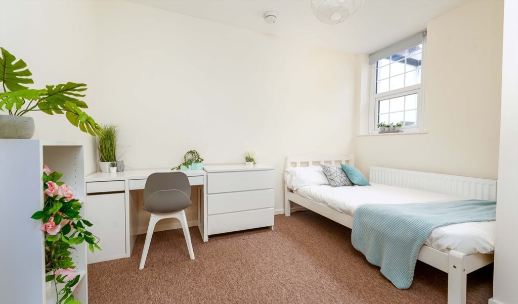 Room to rent in Trafalgar Street, Devonshire Quarter - Rooms in city centre flat share (1TC) - Image 6