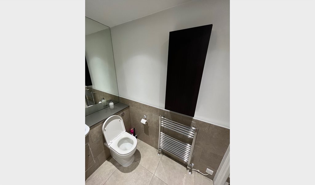 Room to rent in Egleton House, Wandsworth - Double bedroom with own bathroom - Image 6