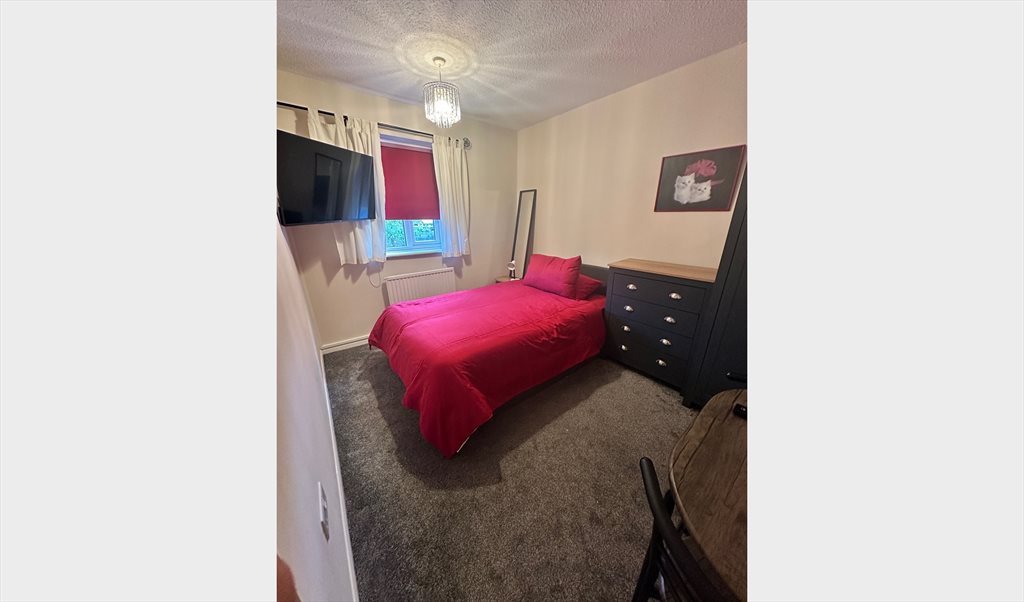 Room to rent in Stone Hill, Abbey Hill - Newly Decorated Double Room - Image 5