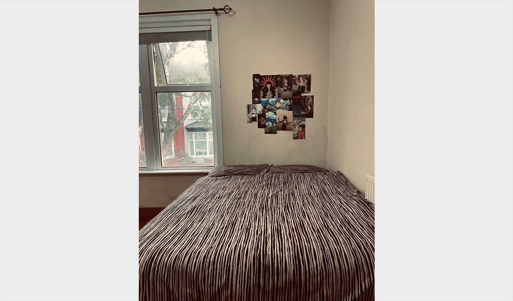 Room to rent in Gaul Street, West End - looking for a roommate to take over my spot - Image 2