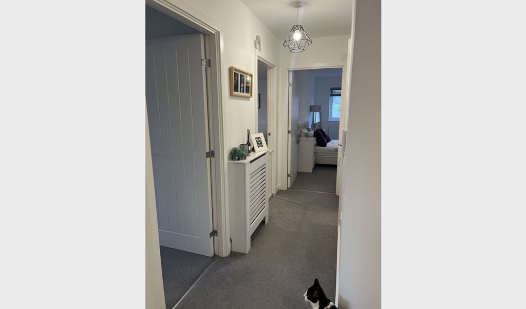 Room to rent in Stubbings Close, Tring - Lovely Double Room to rent in Tring - Image 8