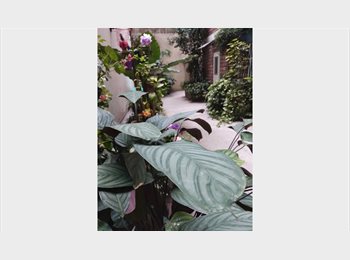 Roomgo AR - HABITACION, COCINA Y BAÑO PRIVADO, Buenos Aires - AR$ 450.000 pm