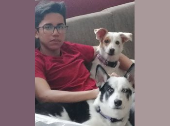 Roomgo AR - Andrés - 22 - Capital Federal