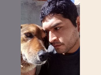 Roomgo AR - Joel - 34 - Capital Federal