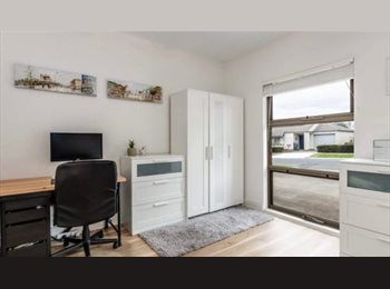 Roomgo AU - 1 Bedroom in a Cute and Cozy home, Enfield - $320 pw