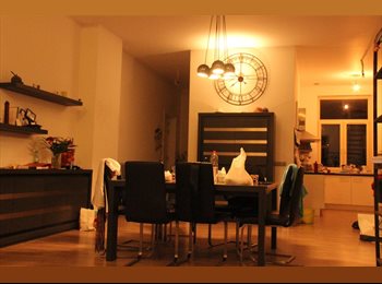 Appartager BE - Cherche  colocation à Visé centre, Visé - 500 € pm